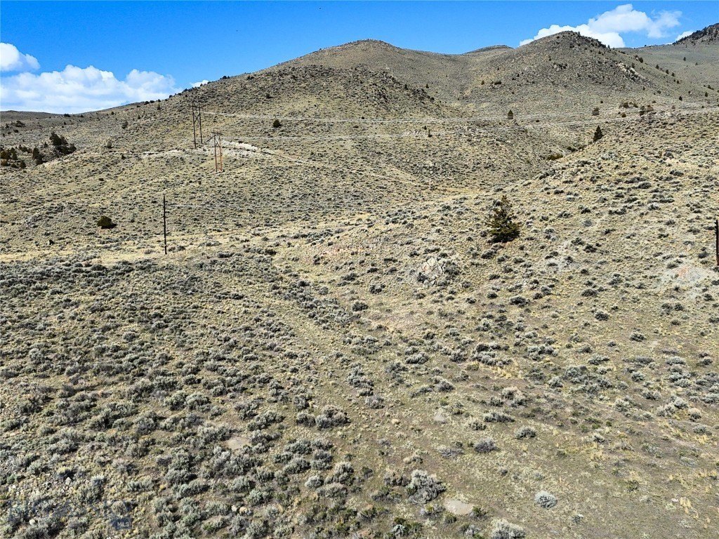 Picture 36