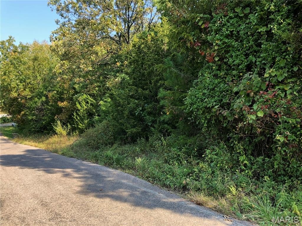 Picture 4