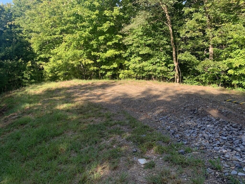 Picture 7