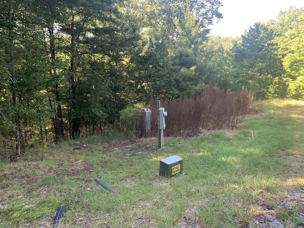 Picture 16
