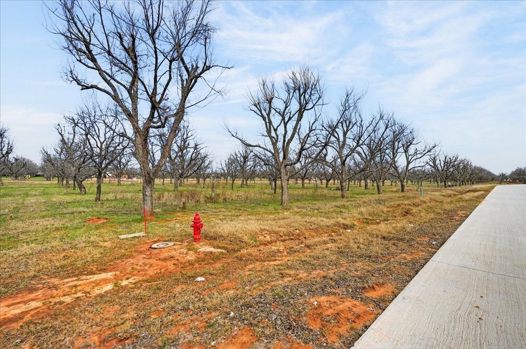 Picture 29