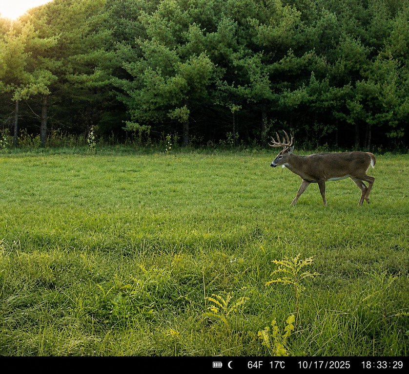 Picture 7