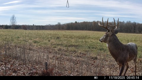 Land, Emerald, WI
