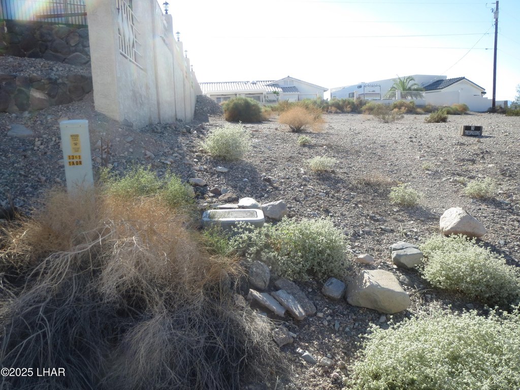 Picture 13