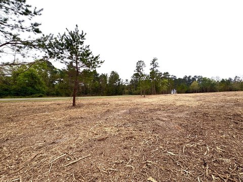 Country Acreage with Homesite
