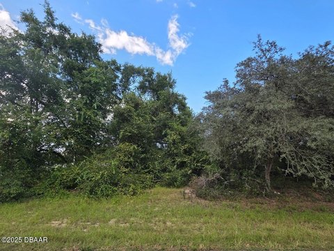 Ocala Land For Sale