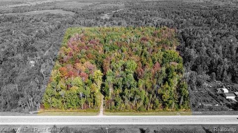 Wooded Land with Cabin in Gladwin