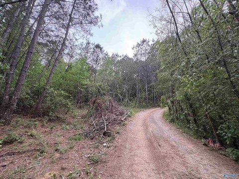 LAND - Falkville, AL