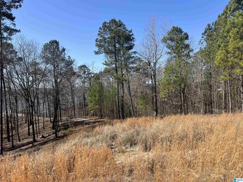 LAND - SYLACAUGA, AL