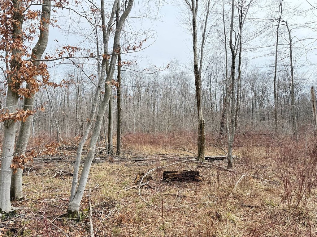 Picture 19