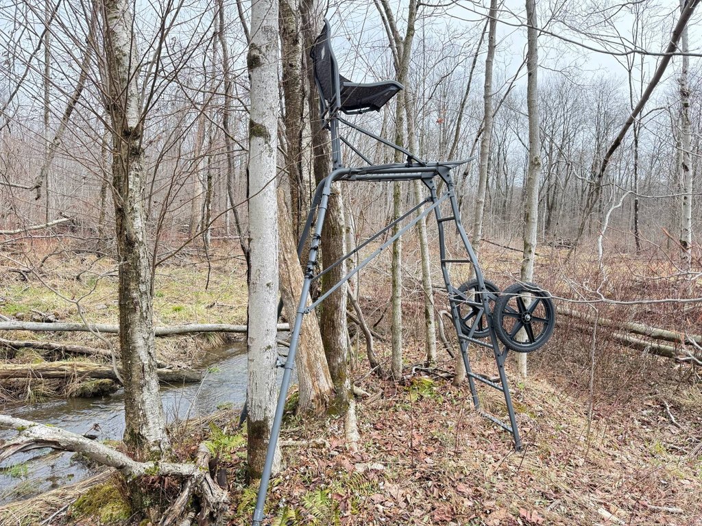 Picture 15