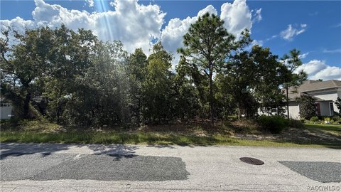 Land, Homosassa, FL