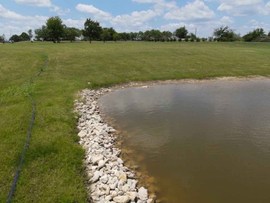 Picture 12
