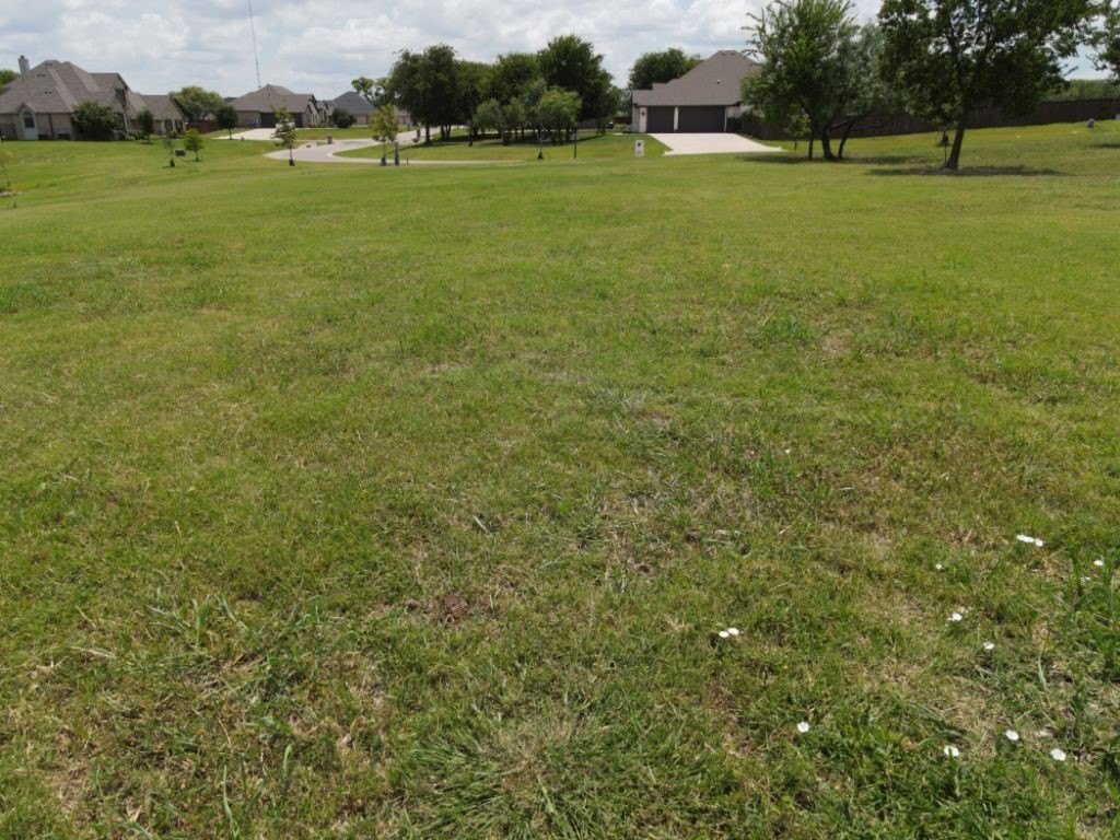 Picture 22