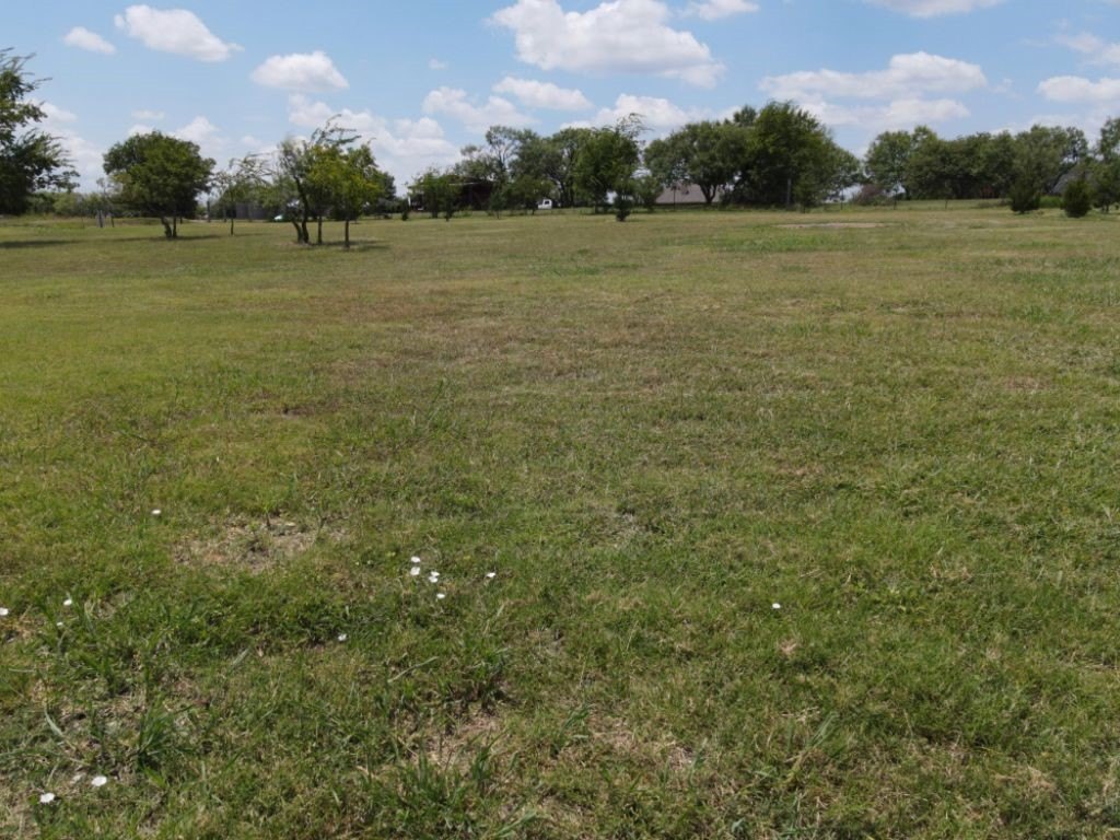 Picture 21