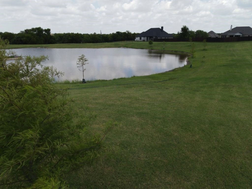Picture 11