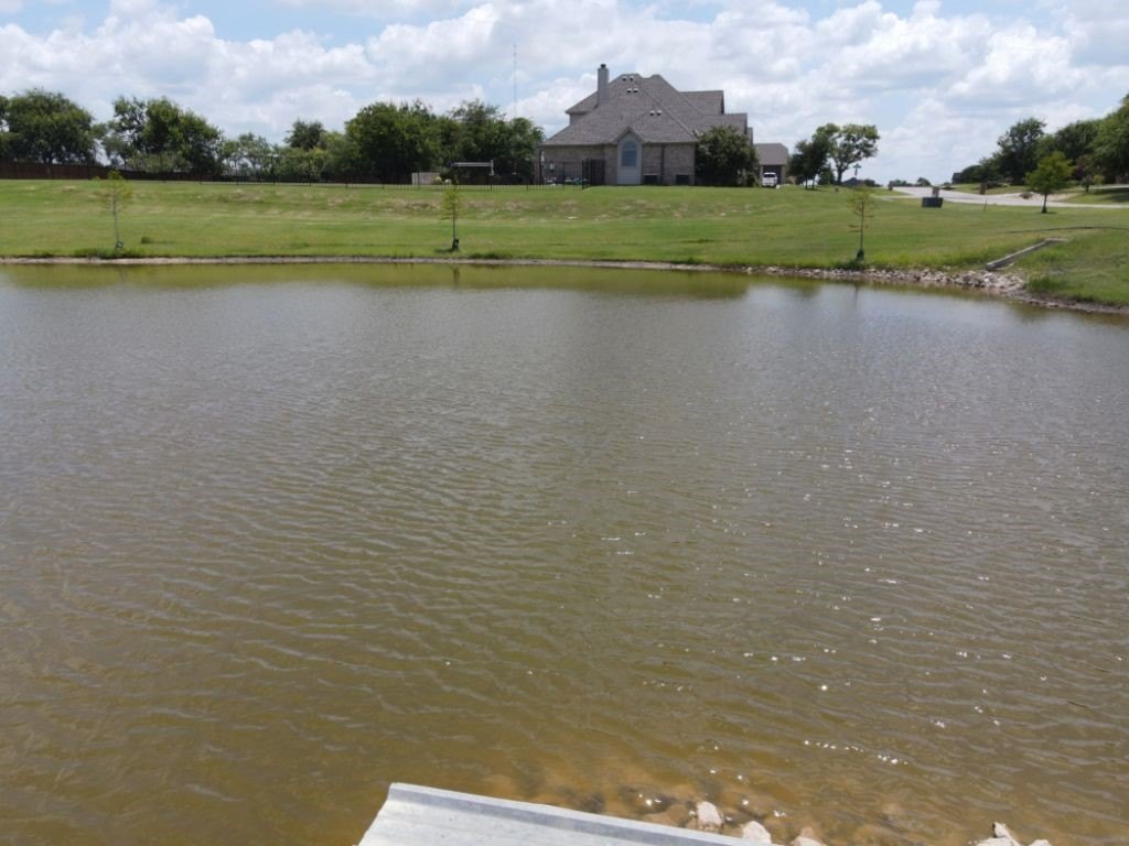Picture 15