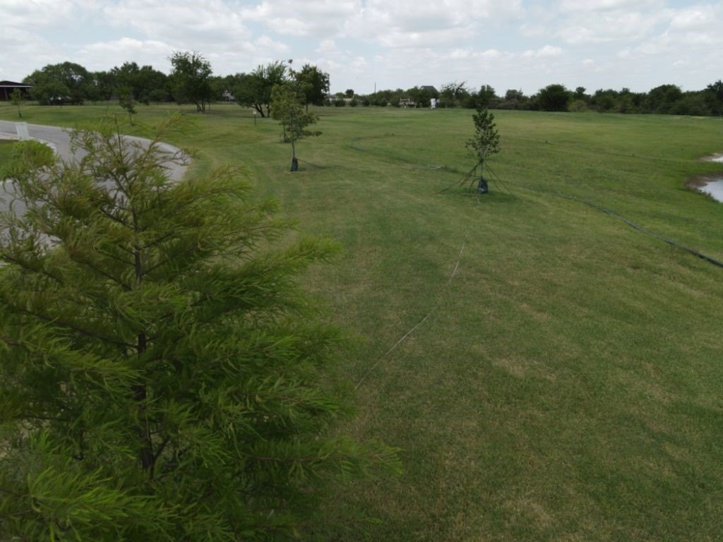 Picture 10