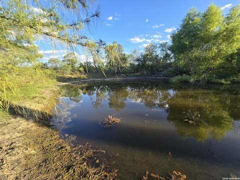 Land, Pleasanton, TX