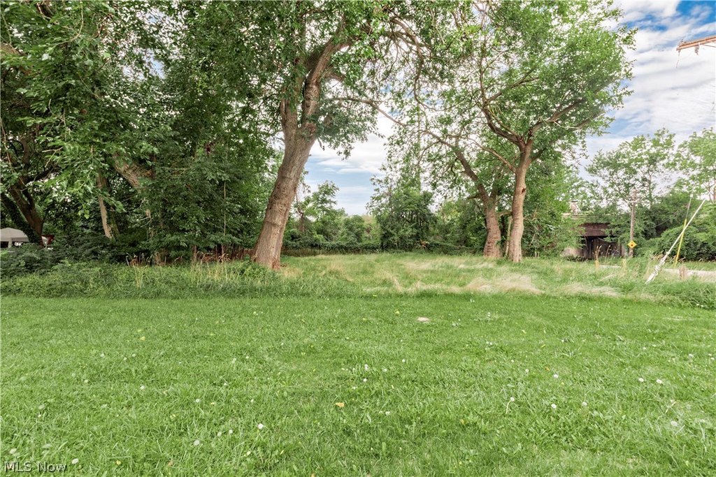 Picture 4