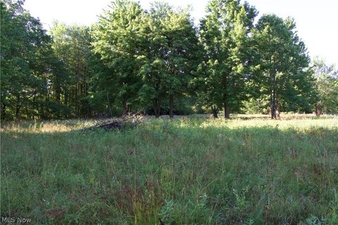 Land, Thompson, OH