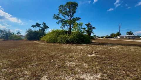 NW Cape Coral Triple Lot