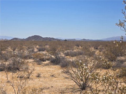 LAND - Joshua Tree, CA