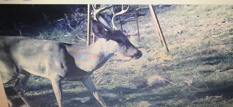 Texas Hill Country Hunting Land