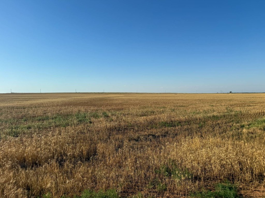Picture 37