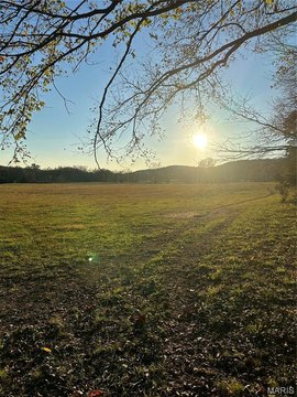 29.2 Acres in Fordland, MO