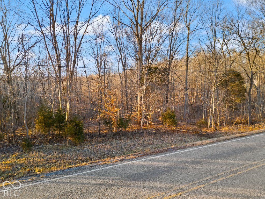 Picture 21