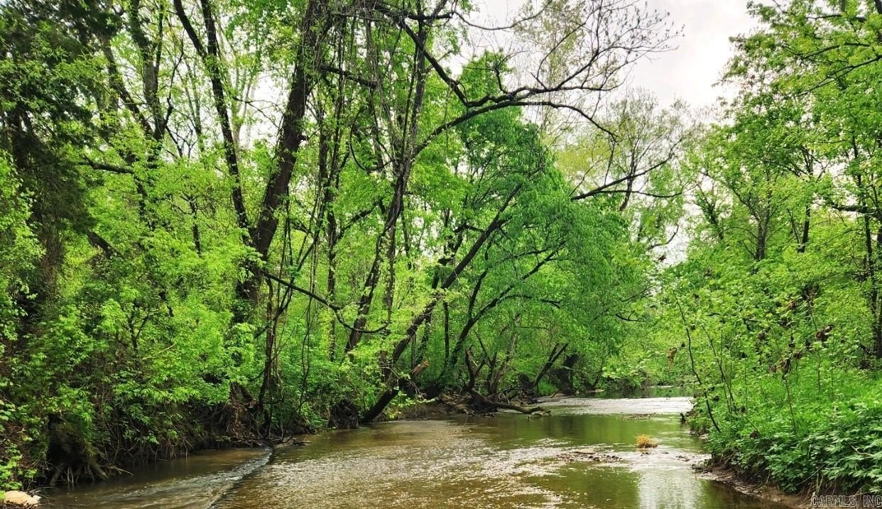 Land with Year-Round Creek