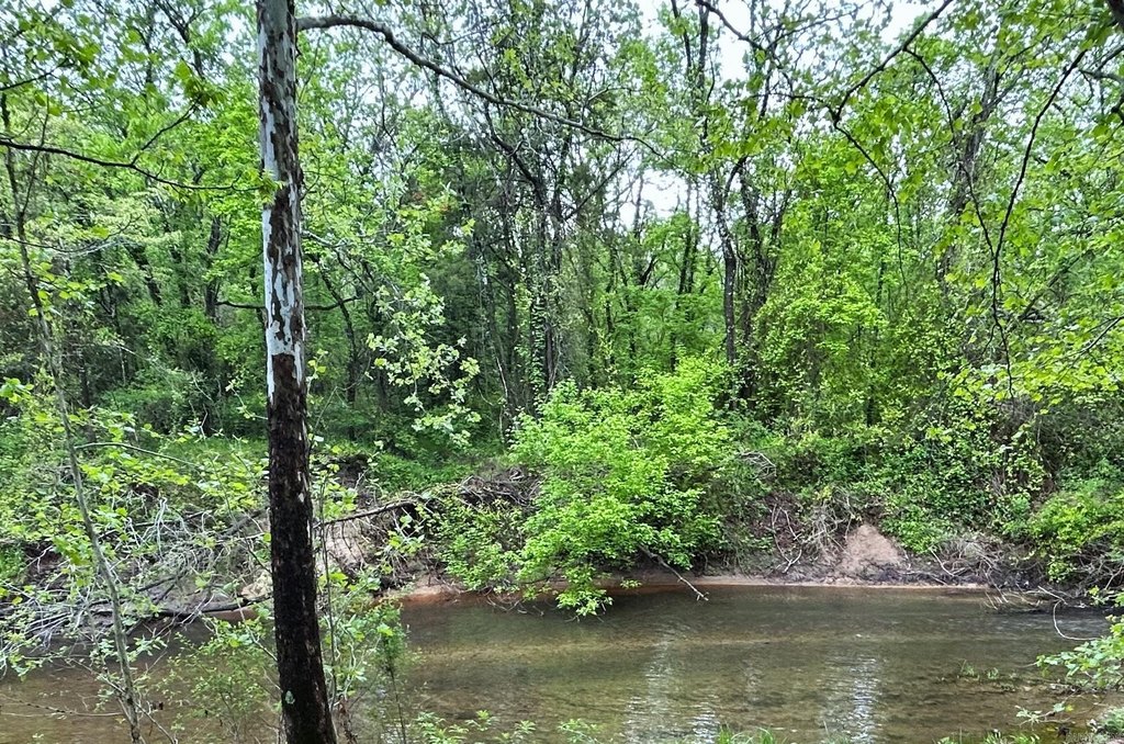 Picture 4