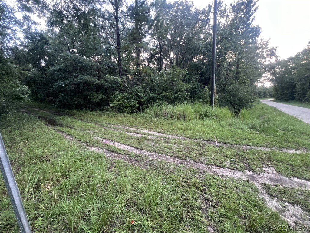 Picture 14