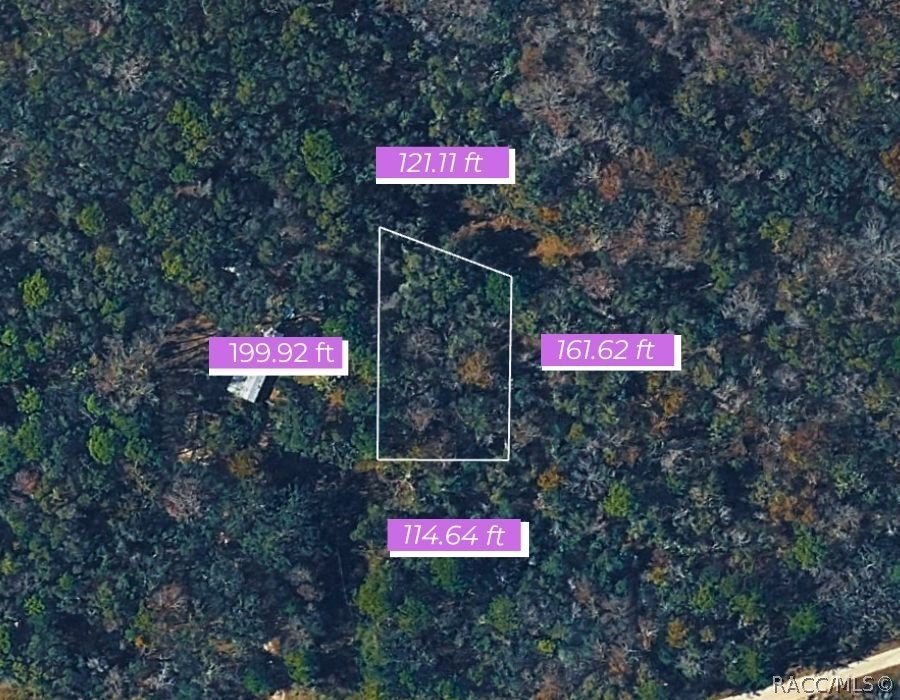 Picture 3