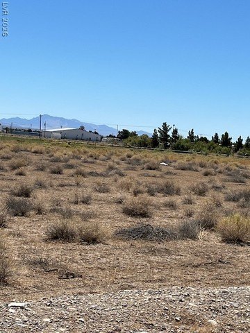 Picture 21