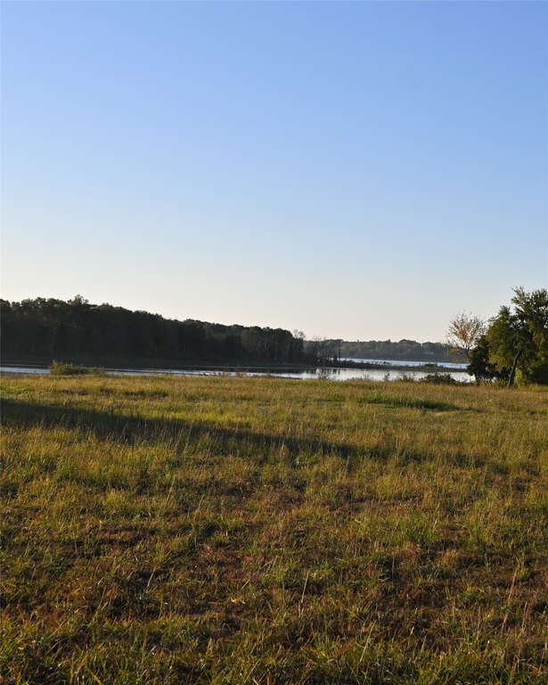 Picture 14