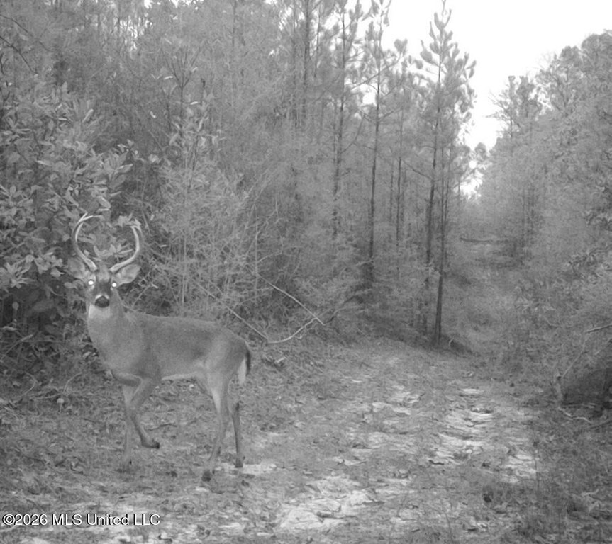 Picture 2