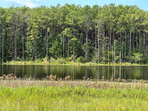 Residential Land with Lake View