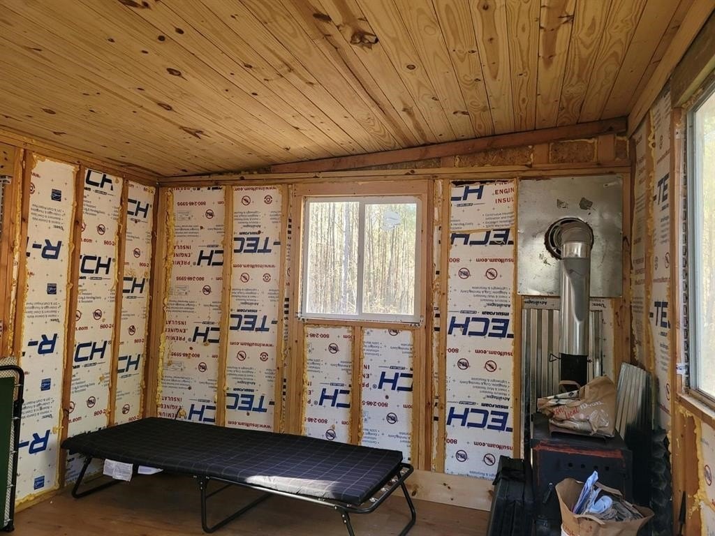 Picture 16