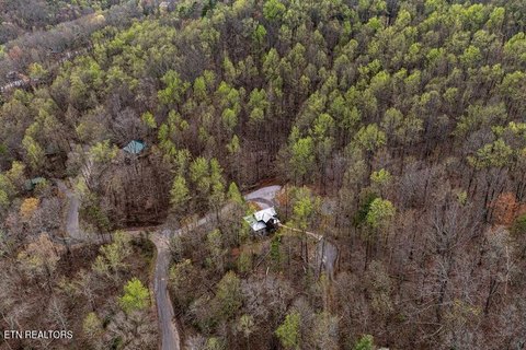 Lots & Acreage, Sevierville, TN
