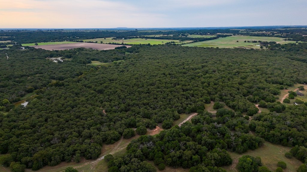 Picture 13
