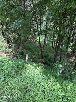 Mountain City Land For Sale