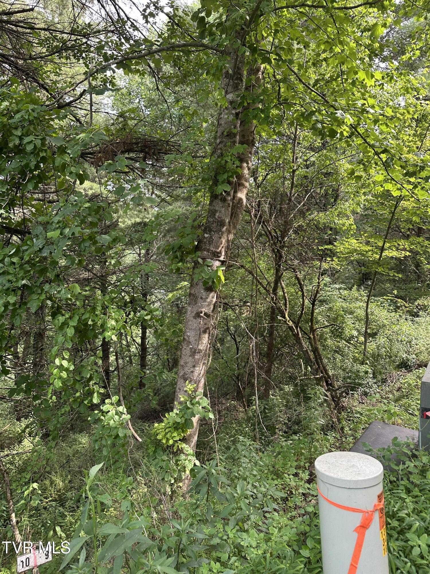 Mountain City Land For Sale