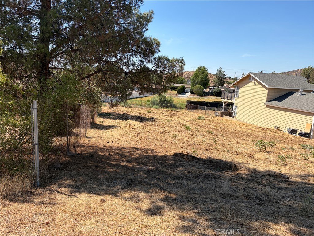 Picture 19