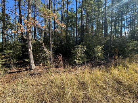 Waterfront Lot Near Lake Sam