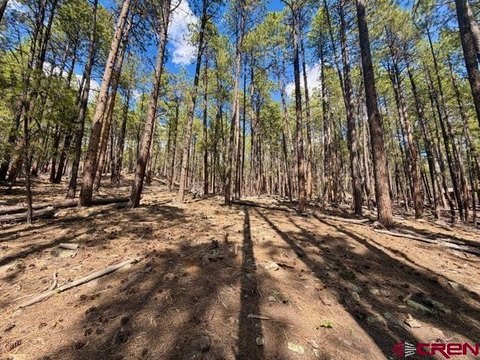 Land For Sale Bayfield, CO