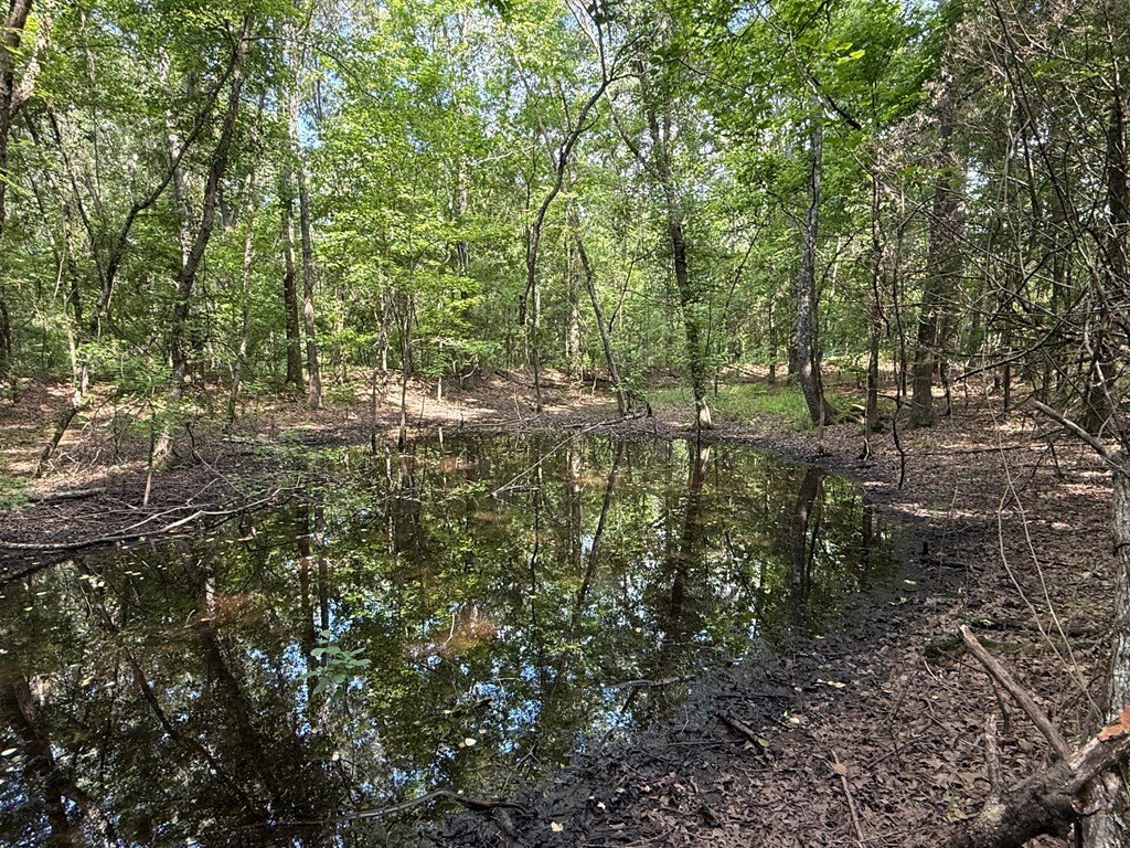 Picture 30