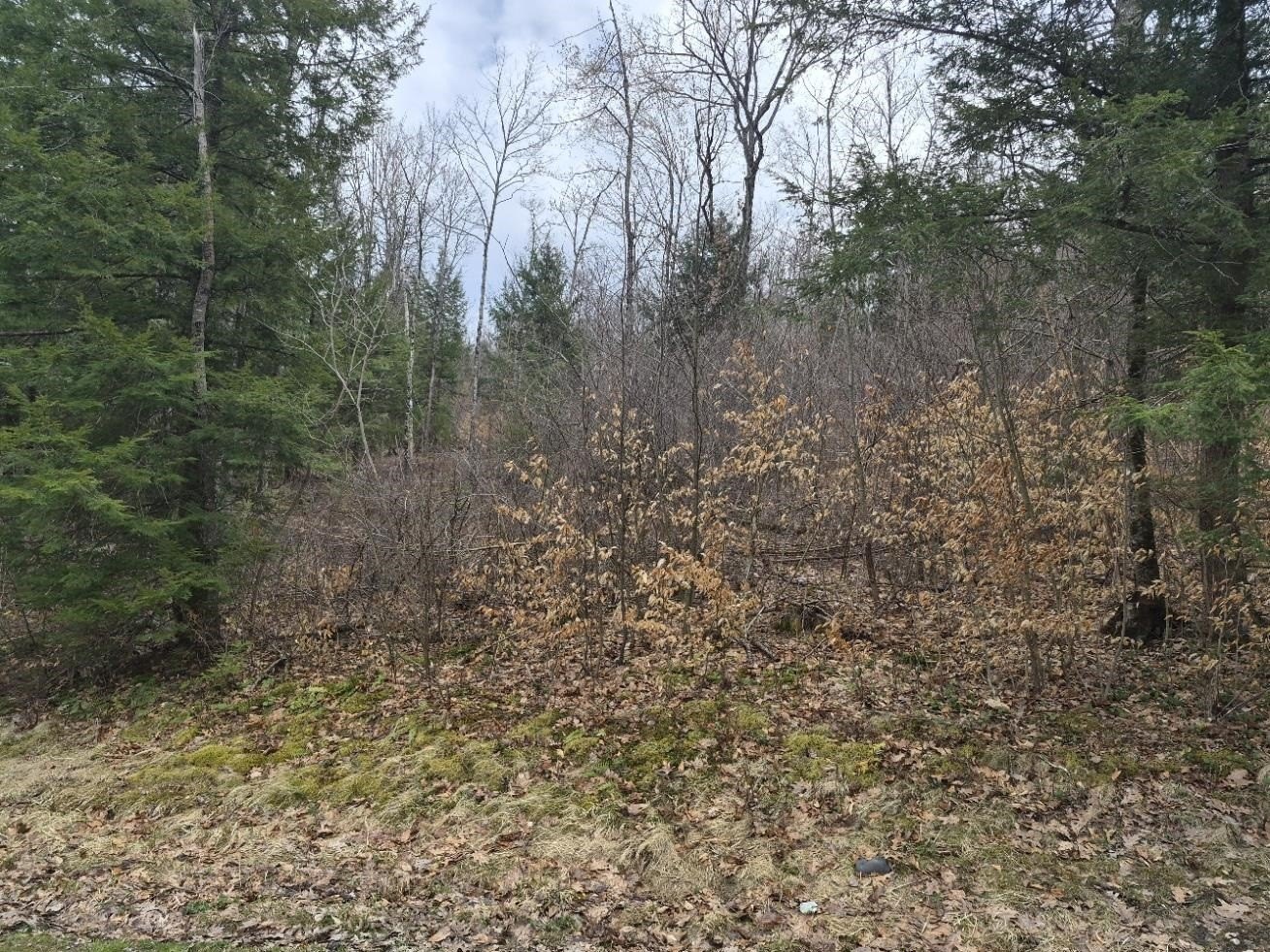 Rockingham Land Near Minard's Pond