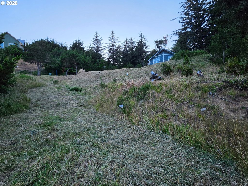 Picture 3
